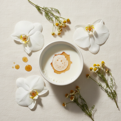 Orchid Milk + Chamomile — Ingredient Flat Lay